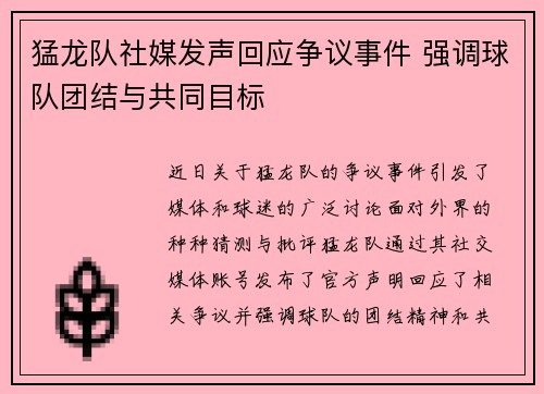 猛龙队社媒发声回应争议事件 强调球队团结与共同目标